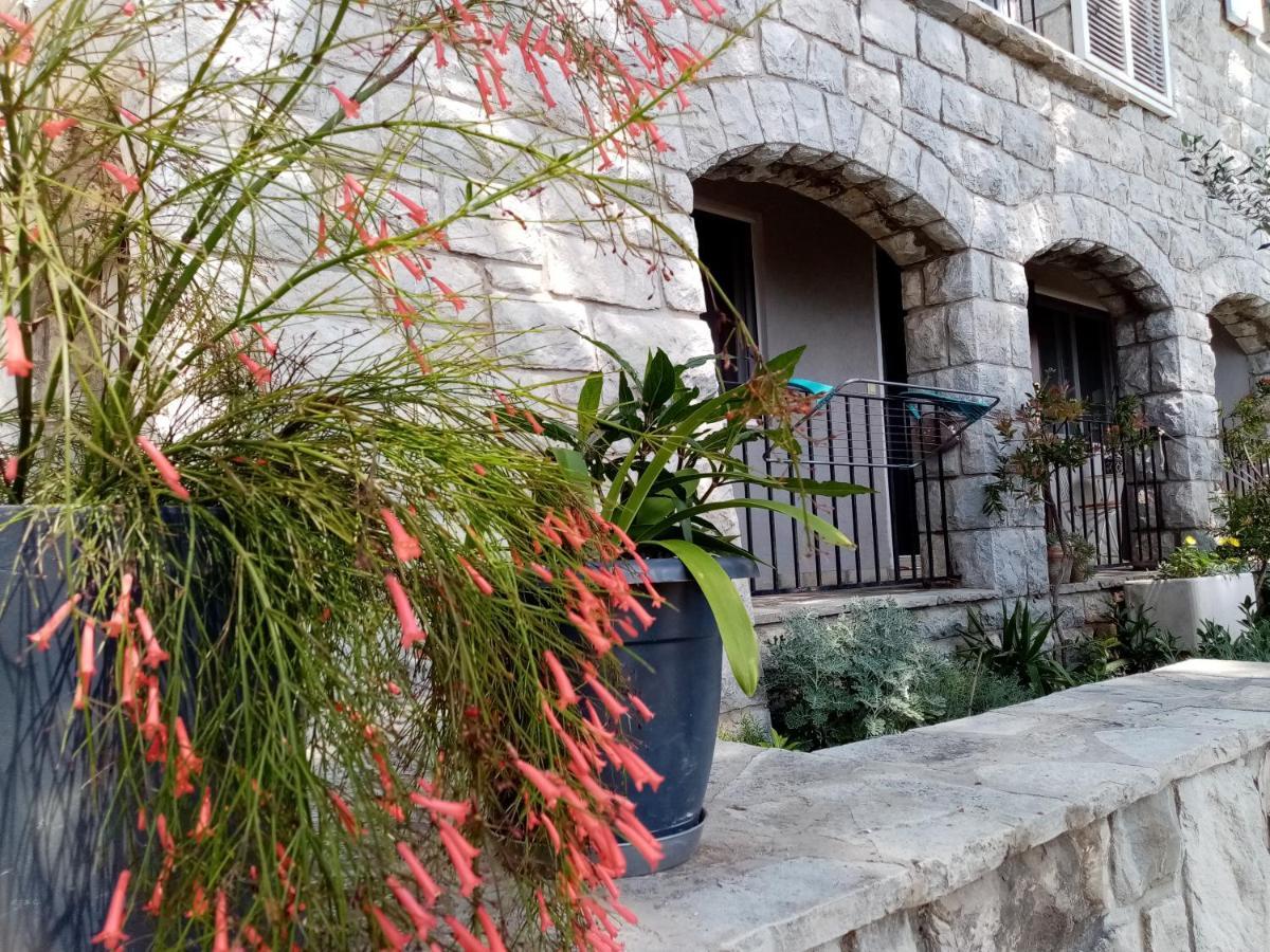 Apartment Zizi Omiš Dış mekan fotoğraf